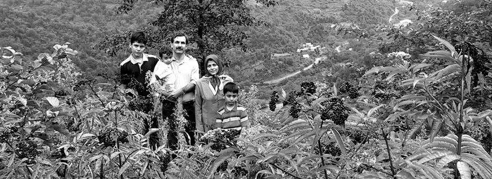مرد خانواده